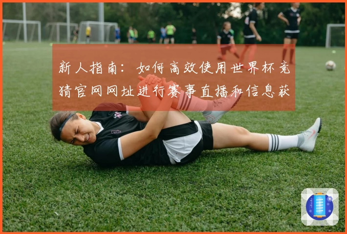 新人指南：如何高效使用世界杯竞猜官网网址进行赛事直播和信息获取