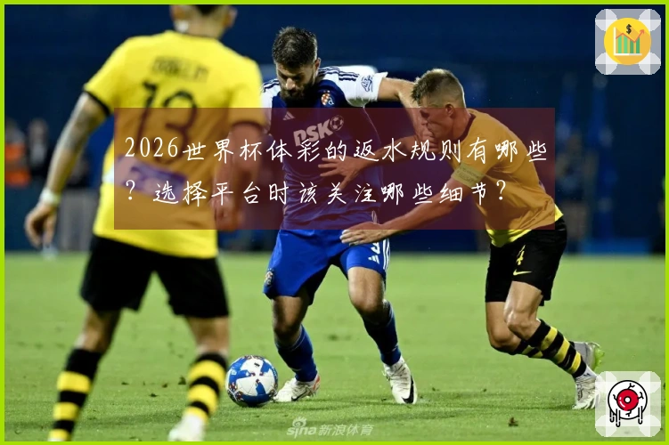 2026世界杯体彩的返水规则有哪些？选择平台时该关注哪些细节？