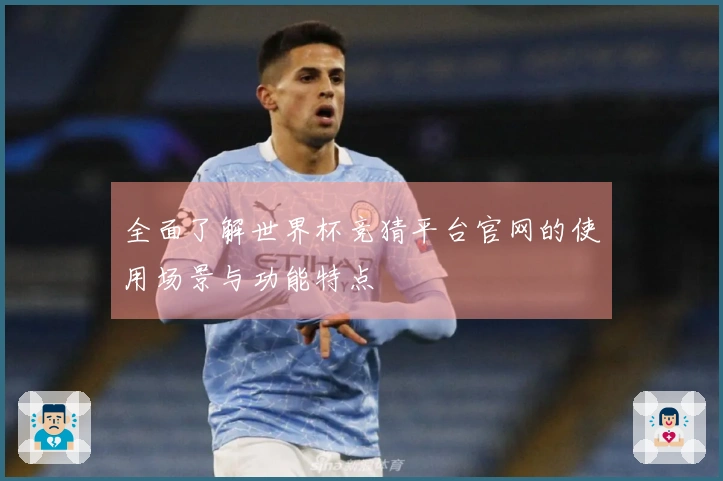 全面了解世界杯竞猜平台官网的使用场景与功能特点