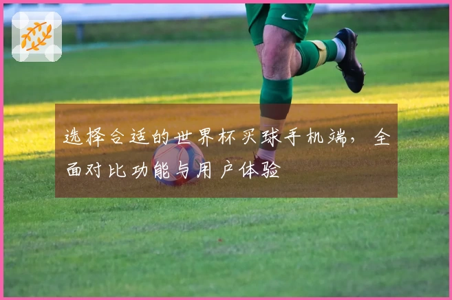 选择合适的世界杯买球手机端，全面对比功能与用户体验