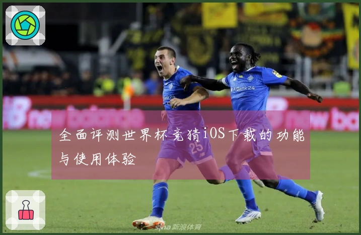 全面评测世界杯竞猜iOS下载的功能与使用体验