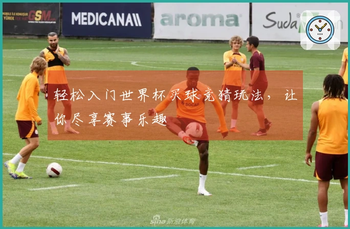 轻松入门世界杯买球竞猜玩法，让你尽享赛事乐趣