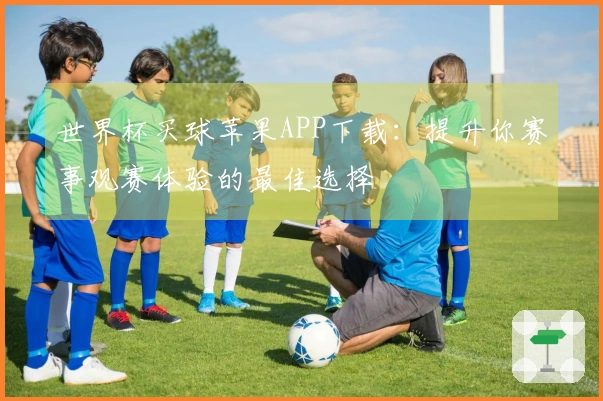 世界杯买球苹果APP下载：提升你赛事观赛体验的最佳选择