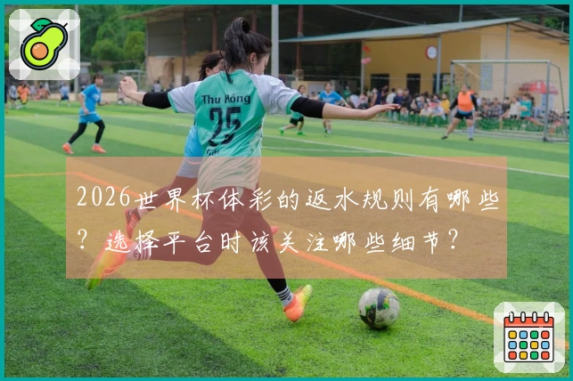 2026世界杯体彩的返水规则有哪些?选择平台时该关注哪些细节?