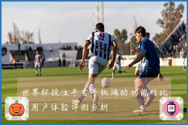 世界杯投注平台手机端的功能对比及用户体验评测分析