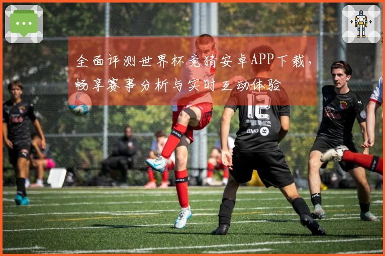 全面评测世界杯竞猜安卓APP下载,畅享赛事分析与实时互动体验