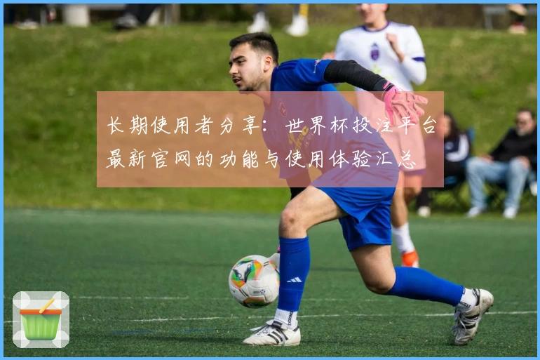 长期使用者分享：世界杯投注平台最新官网的功能与使用体验汇总