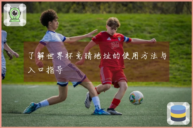 了解世界杯竞猜地址的使用方法与入口指导