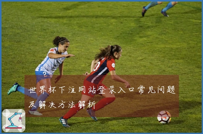 世界杯下注网站登录入口常见问题及解决方法解析