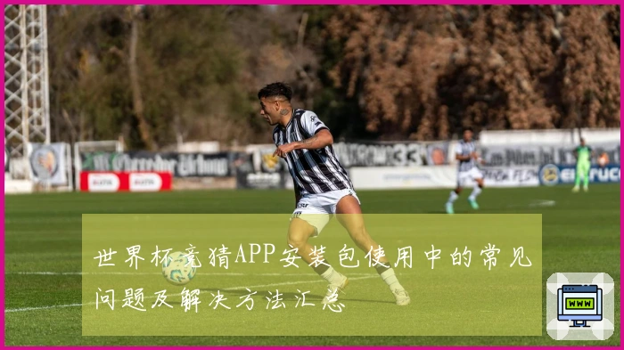 世界杯竞猜APP安装包使用中的常见问题及解决方法汇总