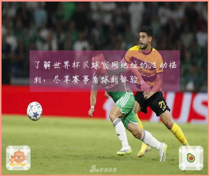 了解世界杯买球官网地址的活动福利，尽享赛事看球新体验