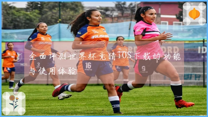 全面评测世界杯竞猜iOS下载的功能与使用体验