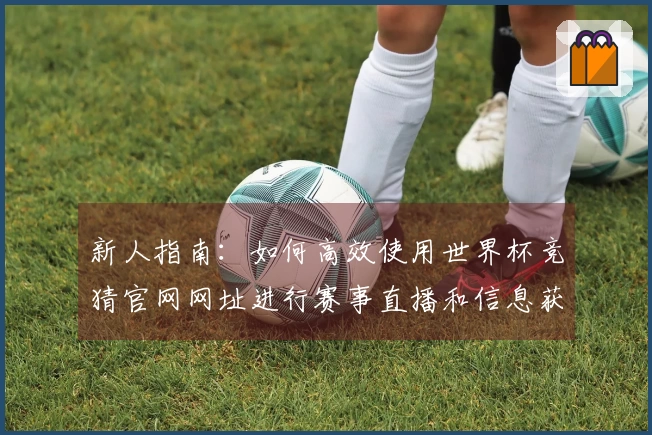 新人指南：如何高效使用世界杯竞猜官网网址进行赛事直播和信息获取